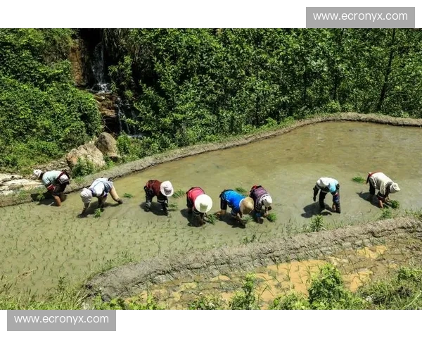 开云体育换帅消息：洞察新纪元的悬念与机遇