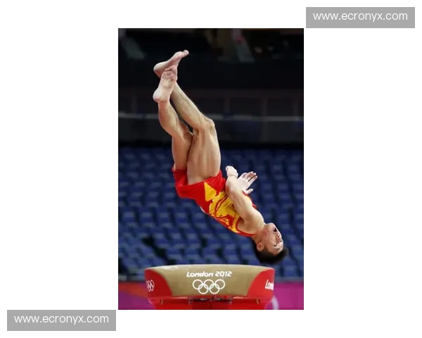 蹦床资讯：跳出新世界的潮流与实用指南