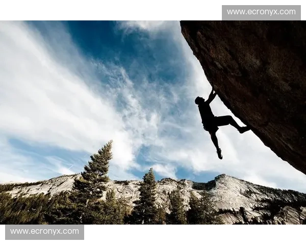 太阳vs都市阴影：一场关于生命力与自我重塑的终极对弈
