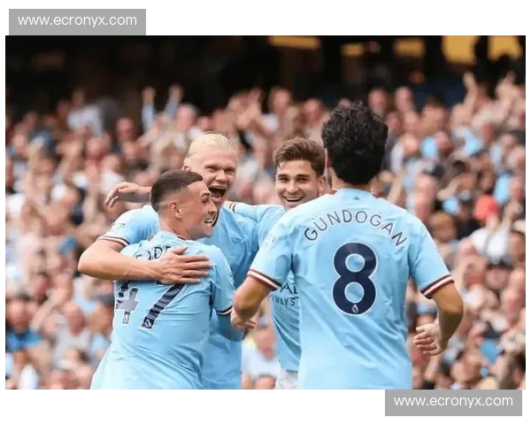 绿茵逐梦,风云再起:墨尔本胜利与惠灵顿凤凰的荣耀对决 绿茵逐梦,风云再起:墨尔本胜利与惠灵顿凤凰的荣耀对决